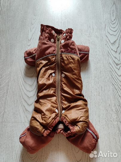 Комбинезон для маленькой собаки