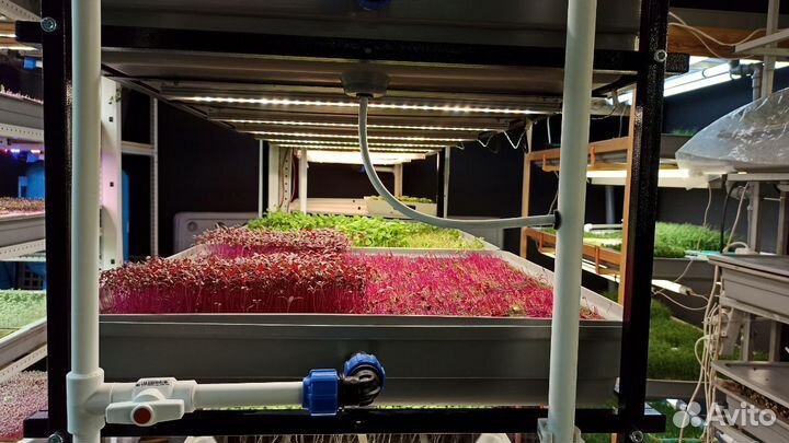 Оборудование для ситиферм