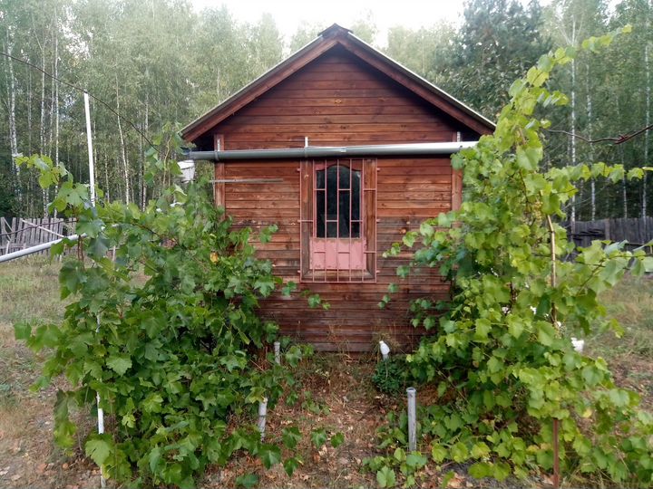 Участок 10 сот. (СНТ, ДНП)
