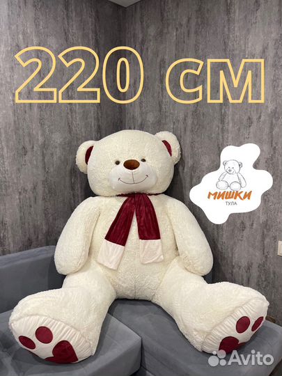 Новые плюшевые медведи