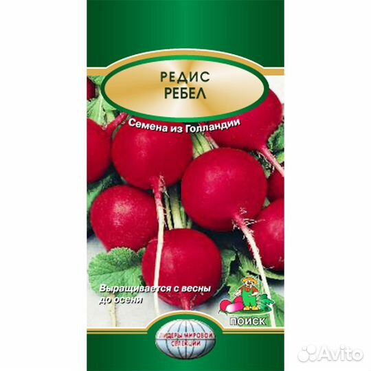Редис Ребел