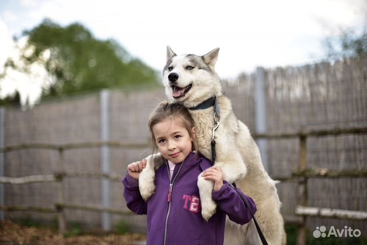 Детский фотограф Москва