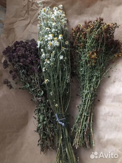 Душица и другие травы