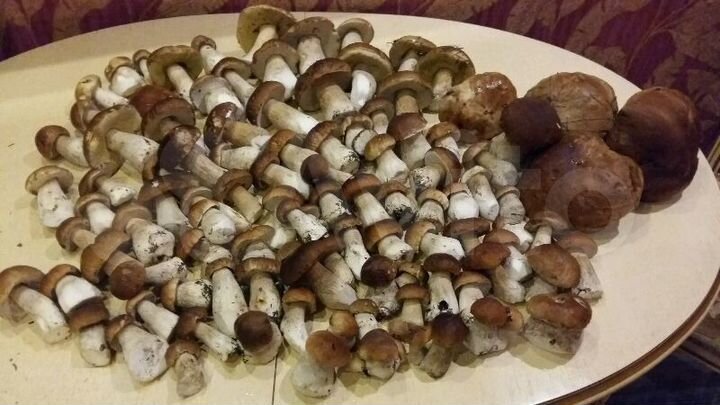 Участок 12 сот. (ИЖС)