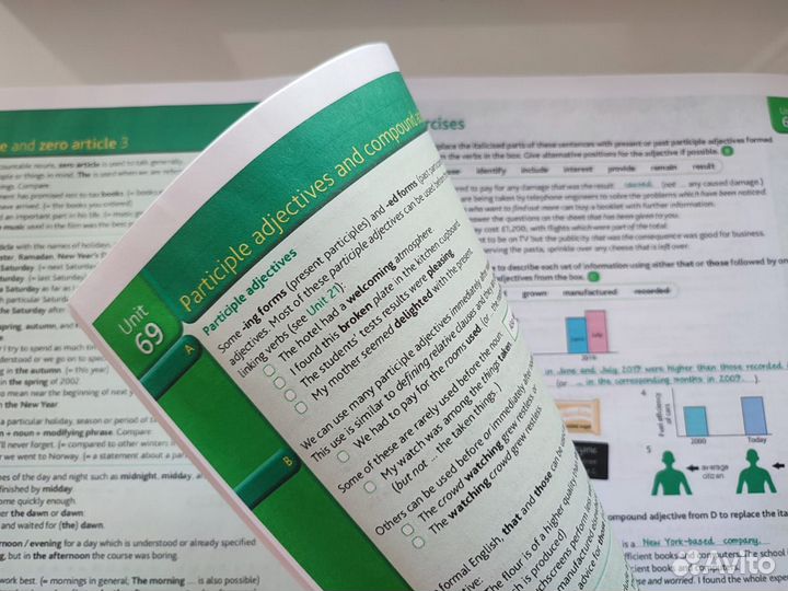 Advanced Grammar in Use with Answers (4th)