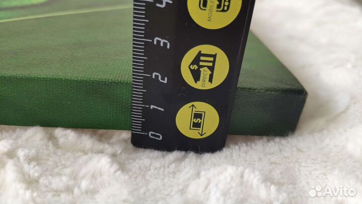 Картина печать на холсте