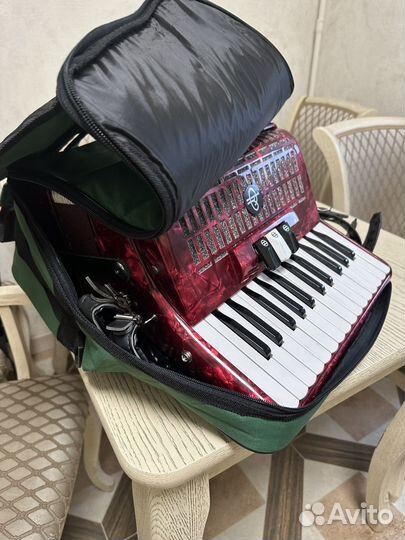 Аккордеон тула