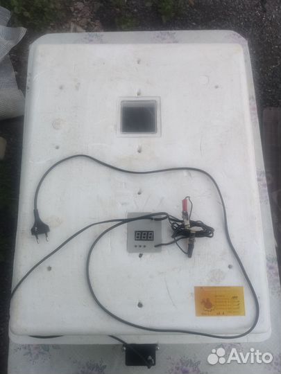 Инкубатор для яиц автоматический бу