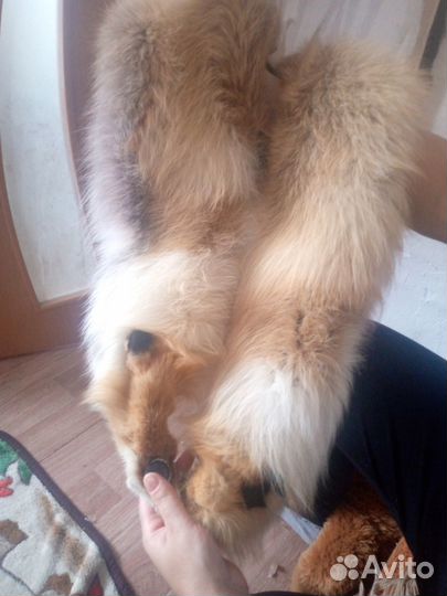 Меховая накидка на кож.куртку(новая,рыжая лиса)