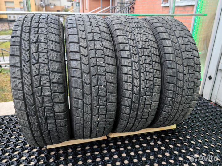 Dunlop SP Winter Maxx WM01 175/65 R14