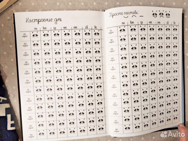 Забавный ежедневник