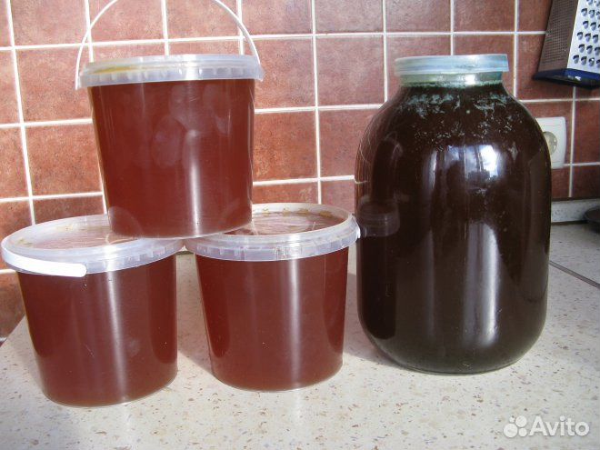 Мёд гречишный