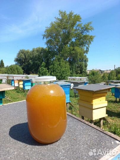 Башкирский липовый мёд 2023