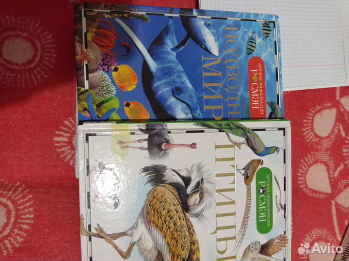 Книги росмэн