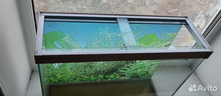 Аквариум 60л