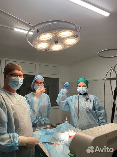 Ветеринарный врач