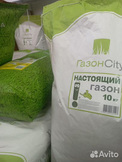 Газонная Трава Семена Симферополь Магазин