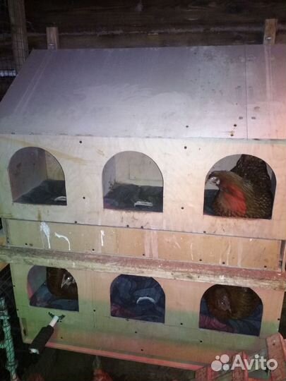 Изготовлю гнезда с яйцесборником