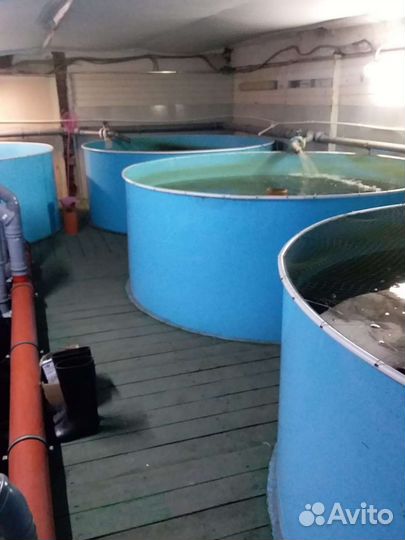 Пластиковый бассейн бу