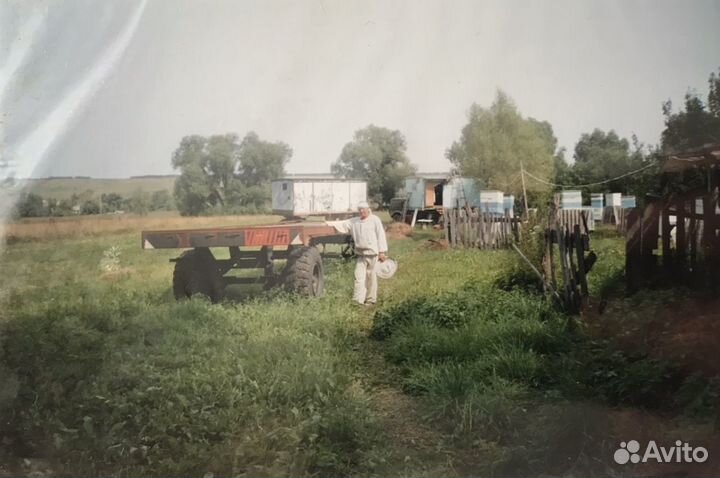 Семьи пчёл, ульи