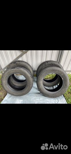 Nokian Tyres Nordman 8 195/65 R15 82