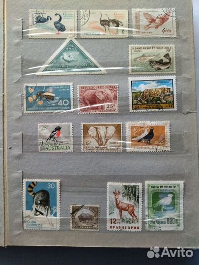 Марки СССР в альбоме