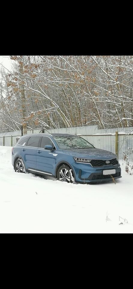 Kia Sorento: фото владельца