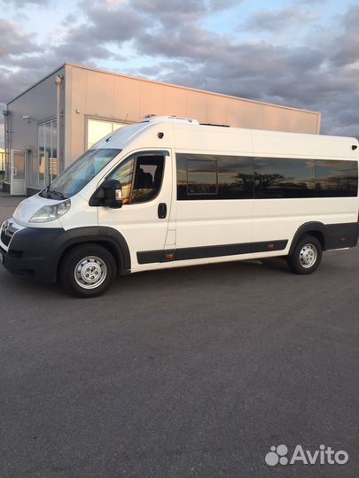 Перевозка пассажиров микроавтобусом