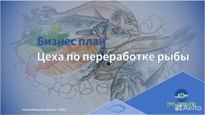 Бизнес-планы, финансовые модели, финансирование