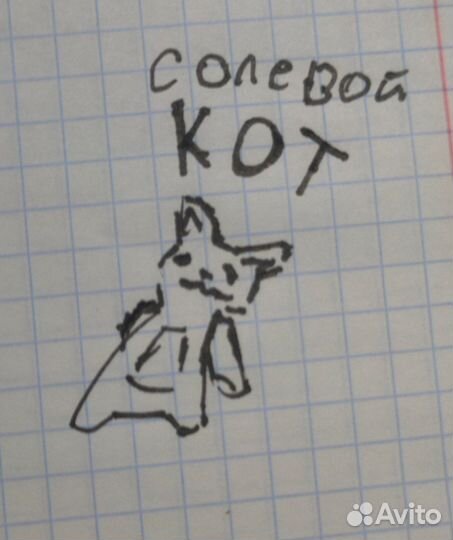 Солевой кот рисунок