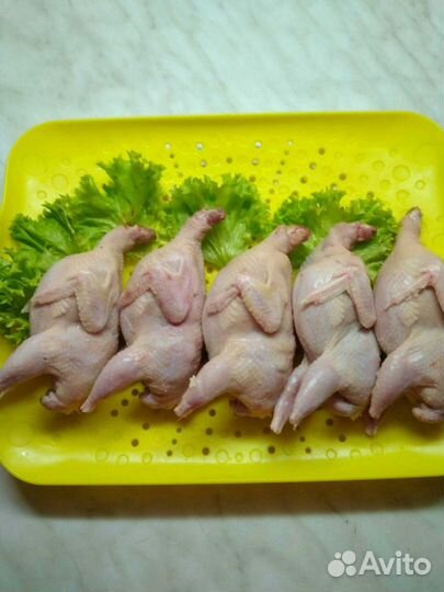 Мясо перепела