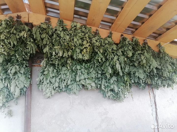 Продам веники для бани