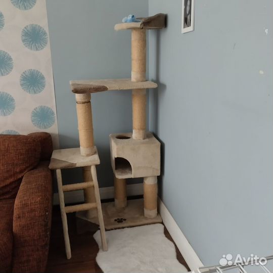 Когтеточка