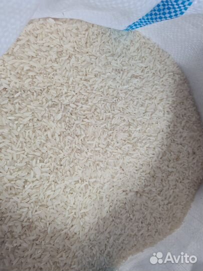 Рис узбекский Лазер (Лазарь)