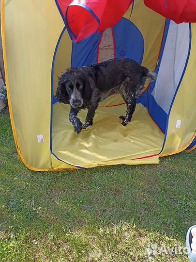 Детские игровые домики бу