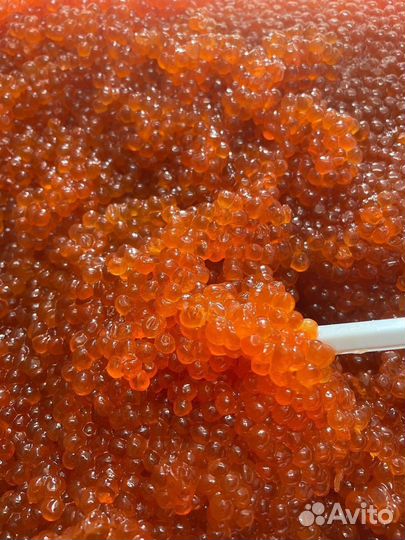 Красная икра горбуши оптом