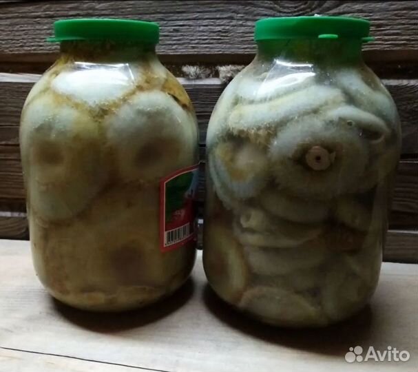 Грибы грузди,рыжики соленые