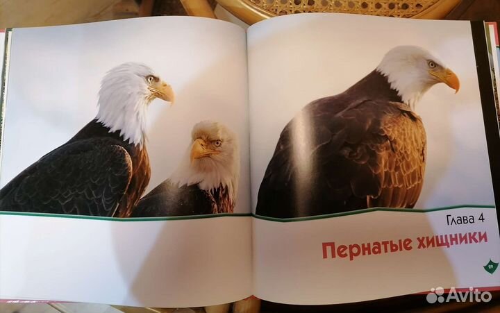 Набор из 3 книжек для маленьких, новые