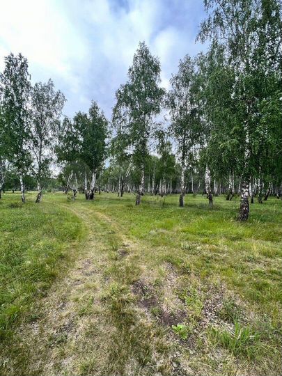 Участок 5 га (ИЖС)