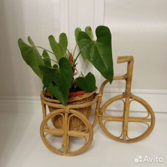 Кашпо Велосипед + керамический горшок