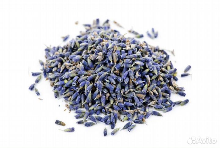 Лаванда сухоцвет