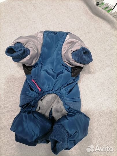 Комбинезон для собаки petmax S