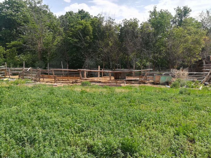 Участок 43,6 сот. (СНТ, ДНП)