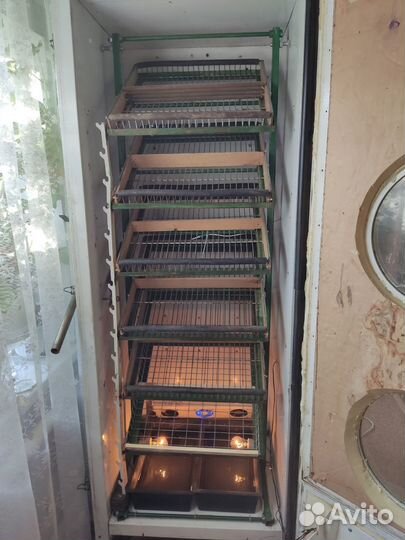 Инкубатор для яиц