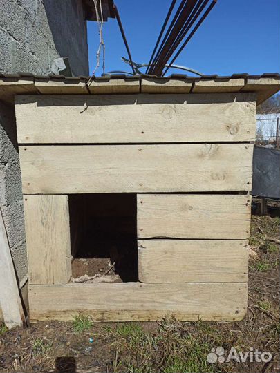 Будка для собаки