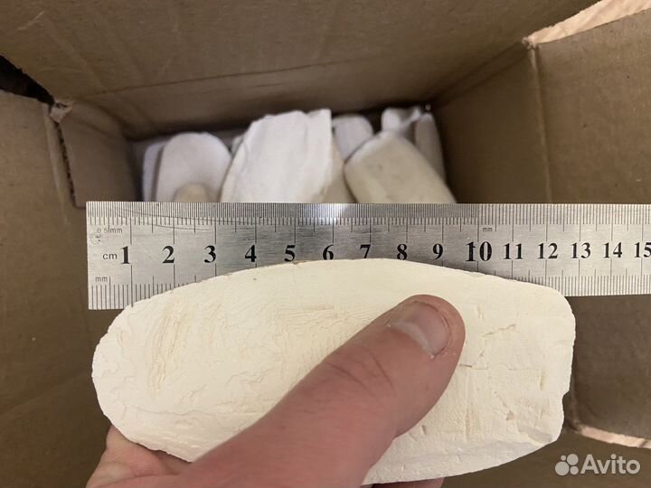 Сепия панцирь каракатицы (не соленая )