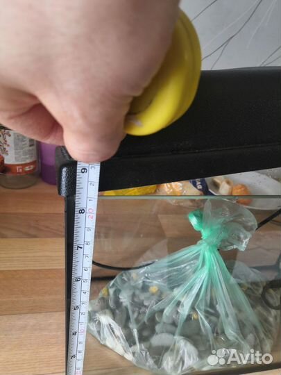 Аквариумные рыбки