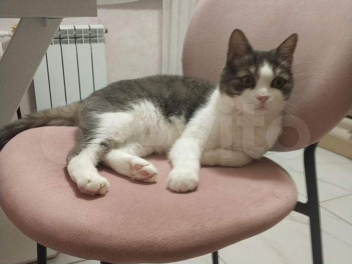 2-к. квартира, 49 м², 9/9 эт.