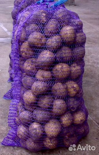 Продам картофель домашний