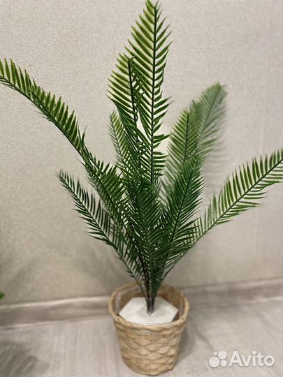 Комнатные растения искусственная зелень